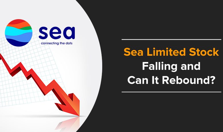 Sea Limited Stock Falling and Can It Rebound